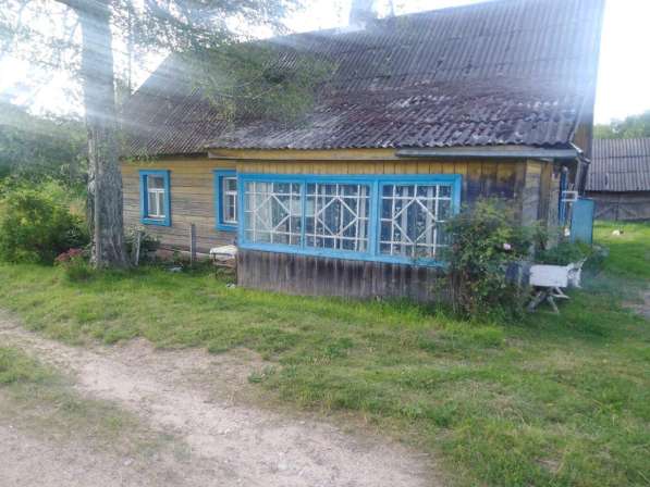 Продам дом в беларусии в фото 4