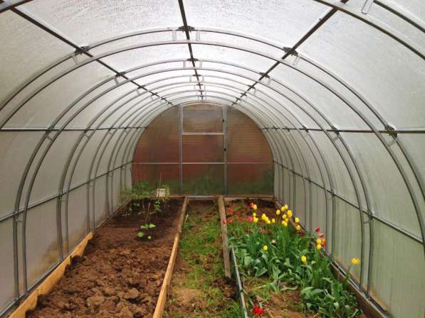 Скважинные насосы Grundfos SQE в Твери фото 11