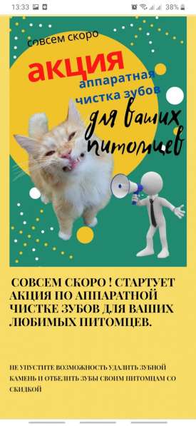 Акция по аппаратной чистке зубов ваших питомцев