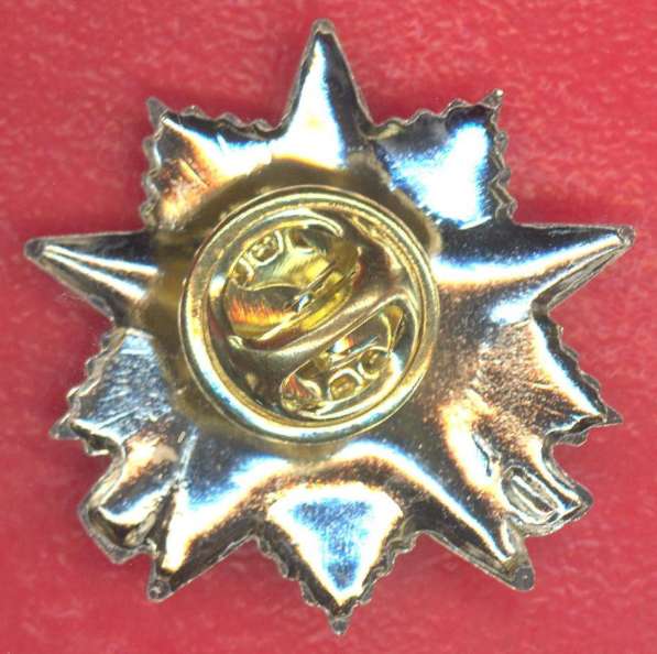 Знак фрачный орден Отечественной войны 2 степени фрачник в Орле