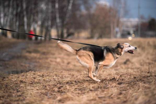 Молодой энергичный Майор ищет семью в Москве фото 56