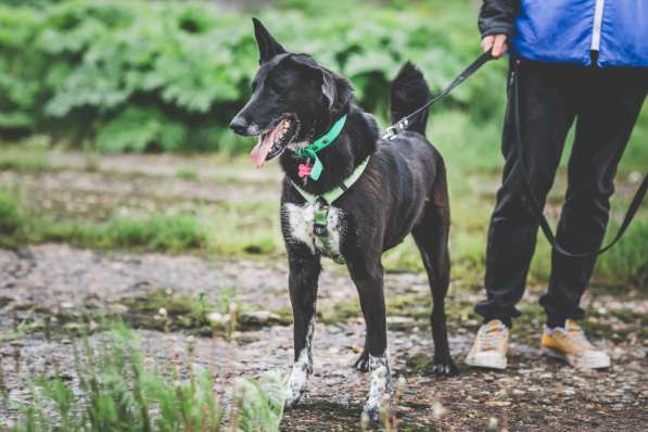 Уникальная Шерри в Москве фото 40