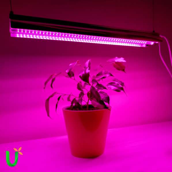 Светильник для растений фитолампа для рассады светодиодная