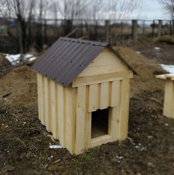 Собачья будка в Кемерове фото 4