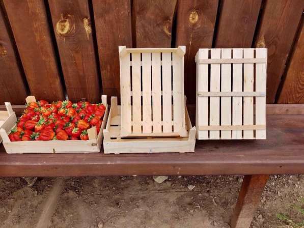 Деревянные ящики из шпона для год, овощей, фруктов в фото 7
