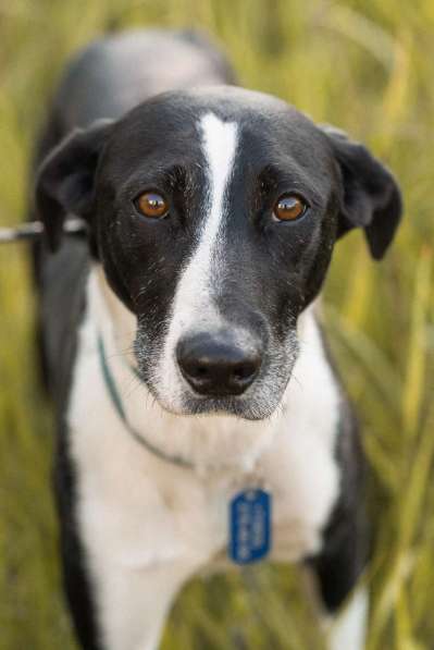 Тихон нуждается в новой истории! в Москве фото 4