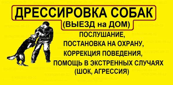 Услуги кинолога