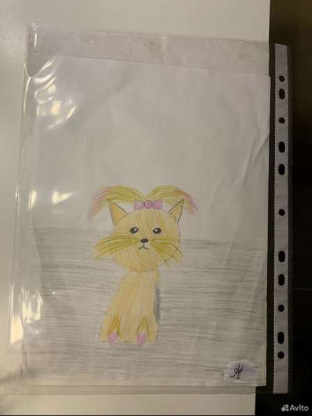 Рисунки ваших питомцев на заказ в Апатиты фото 5