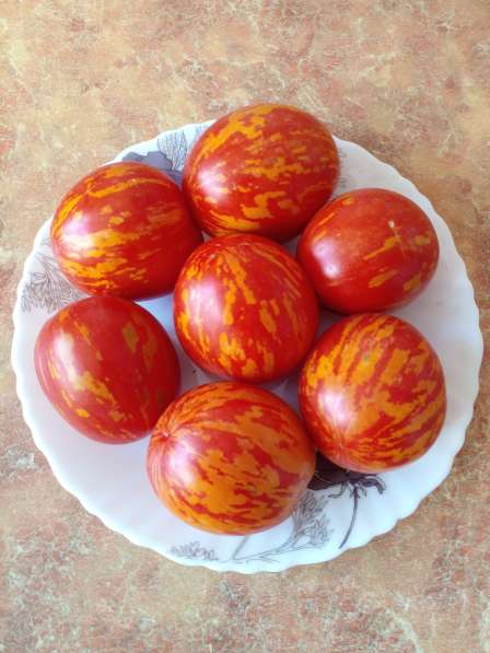 Семена экзотических и урожайных сортов томата в Барнауле фото 5
