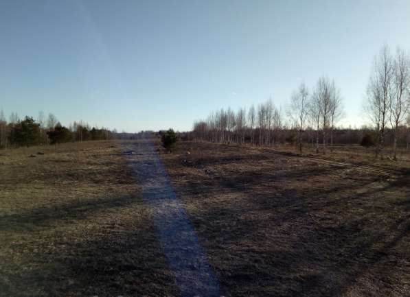 Земельный участок у реки в Смоленске