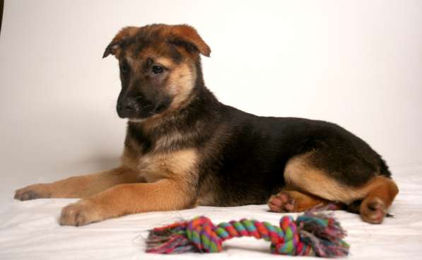 Маленькая Динка ищет семью в Москве фото 16