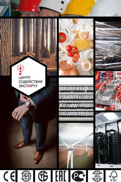 СТБ ISO 45001-2020. Получить срочно в 