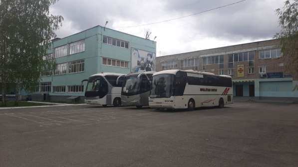 Заказ/аренда автобусов, трансфер, детские перевозки в Перми