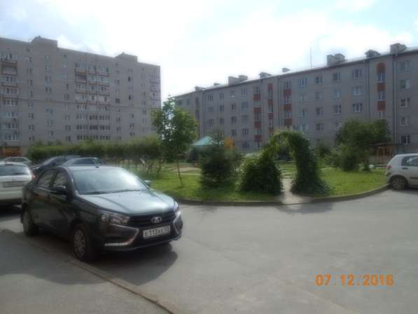 Купить однокомнатную квартиру Якова Павлова, дом 1 в Великом Новгороде фото 11