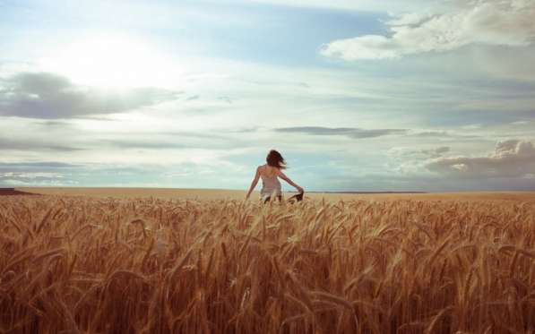 Пшеница продовольственная 3 класс без ГМО в фото 6