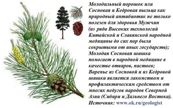 Продам молодильный порошок в Томске фото 3