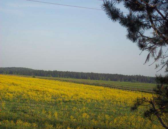 Продается земельный участок 10 соток в д. Межутино Можайский р-н, 143 км от МКАД по Минскому шоссе в Можайске