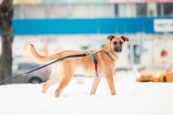 Чудесная Бриа ищет семью в Москве фото 19