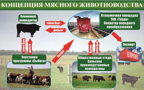 Нужен ИНВЕСТОР или проектное финансирование в фото 4
