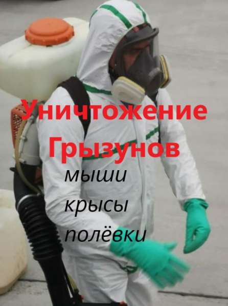 Дератизация. Уничтожение грызунов в Екатеринбурге