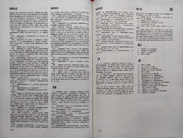 Цыганско-русский и русско-цыганский словарь в фото 11