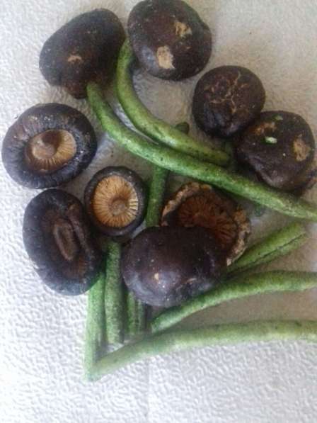 Биослайсы SunWay овощные - грибы шиитеке и зелёная фасоль в Домодедове фото 3