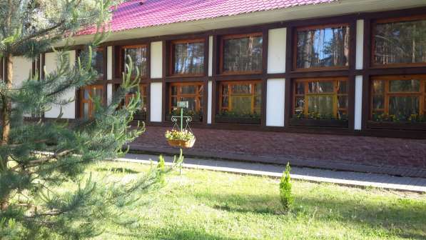 Лукоморье Псков в Пскове фото 8