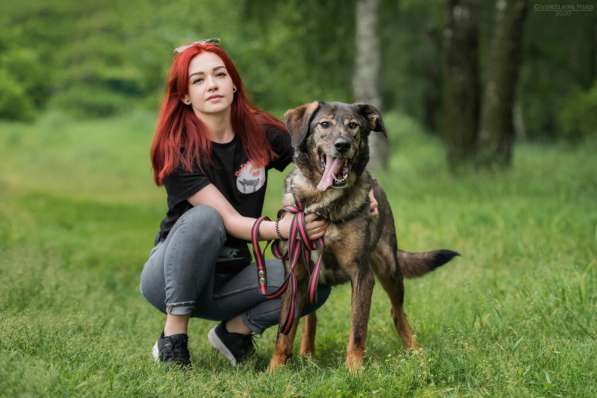 Надёжный Друг Курт ищет семью в Москве фото 20