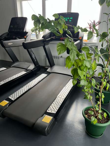 Беговая дорожка профисиональная в Красноярске фото 5