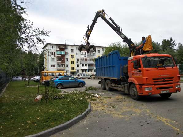 Вывоз мусора /демонтаж зданий / аренда спецтехники в Тюмени