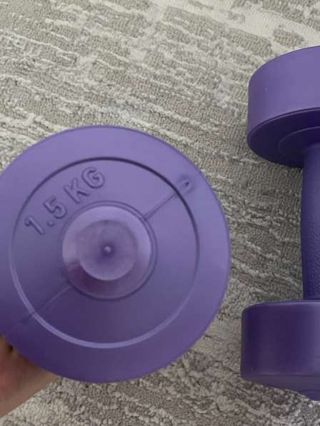 Гири 1,5 кг в 