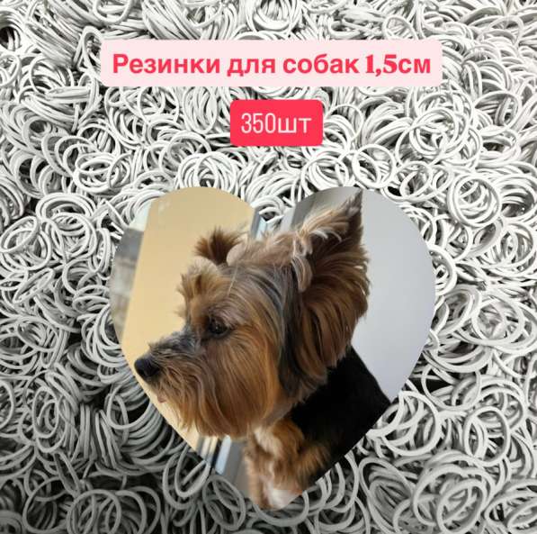 Резинки для собак 350шт