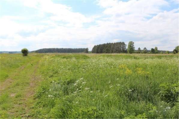 realty_mapper3.plot_in_locationПлощадь 30.00 сот.Есть Электричество. в Твери фото 14