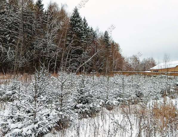 realty_mapper3.plot_in_locationИндивидуальное жилищное ст-во. Есть Электричество, Газ. в Москве фото 13