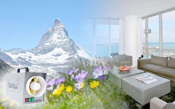 Устранение вирусов. Озонирование помещений в Тюмени