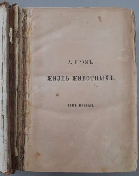 Книги 2 тома Жизнь животных, А. Брэм, Петербург 1866 год в Ставрополе фото 8