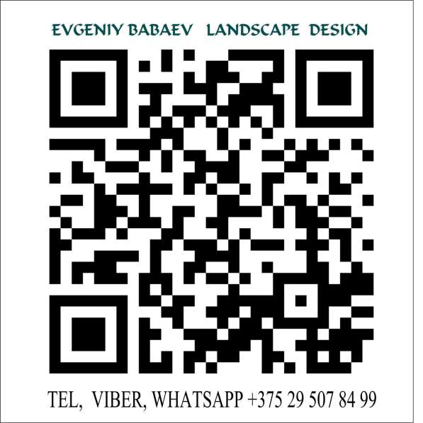 Ландшафтный дизайн в фото 4