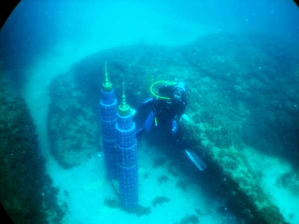 Дайвинг. Обучение дайвингу в Евпатории фото 13