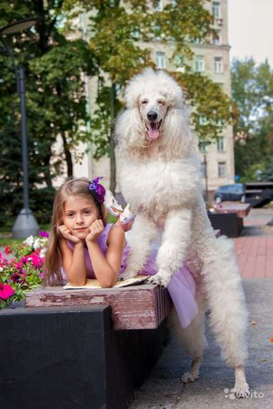 Новогодняя и Рождественская фотосессия с реквизитом в Москве фото 16