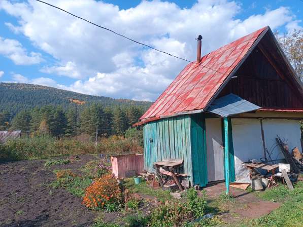 Сад в г. Белорецк в Магнитогорске фото 5