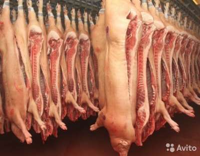 Мясо свинины с Краснодарского края