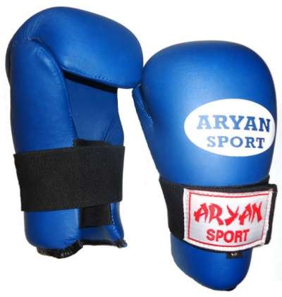 Перчатки для таеквондо ITF ИТФ Aryan Sport ARS 218 в Самаре