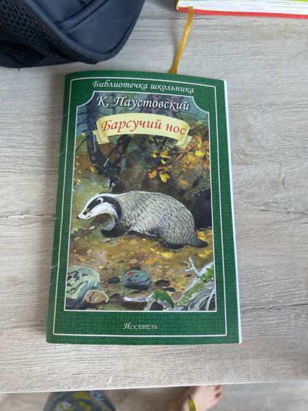Книга Барсучий нос