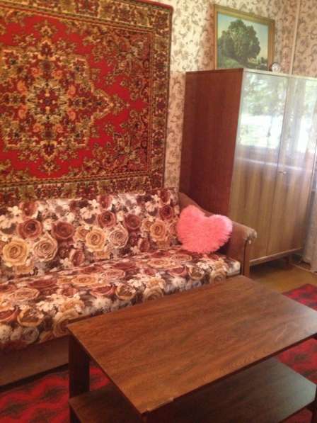 2к. квартира в Павловске, Динамо в Пушкине фото 17