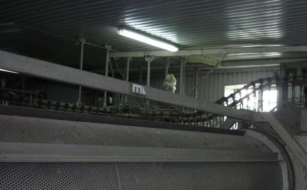 Продам комплекс переработки мяса птицы, пл. 37820 кв. м в Пятигорске фото 10