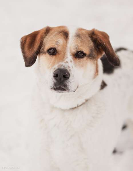 Улыбчивый лучик Фаина ищет семью в Москве фото 8