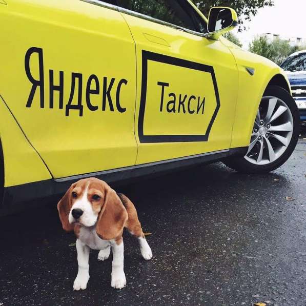 Подключаем к Яндекс. Такси Москва и МО