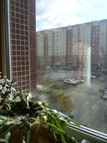 Продам 1 комнатную квартиру, ул Сикейроса, д.12 в Санкт-Петербурге фото 14