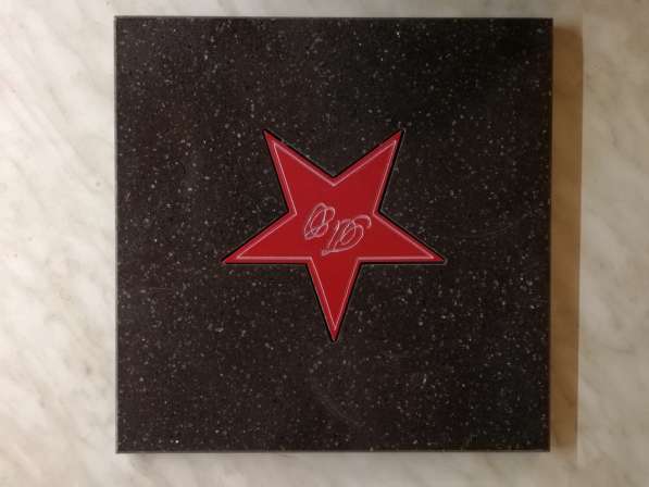Звезда голливудская сувенирная на стену и в подарок в Москве