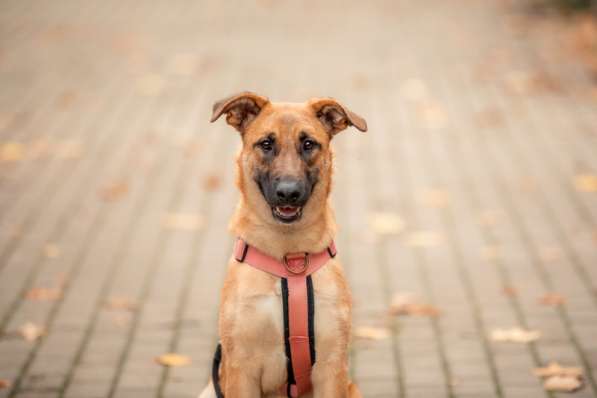 Чудесная Бриа ищет семью в Москве фото 29